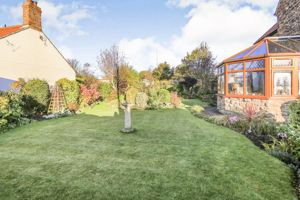 Side garden- click for photo gallery